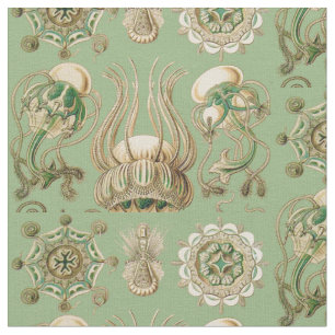 Ernst Haeckel’s Narcomedusae Fabric