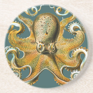 Ernst Haeckel’s Octopus Coaster