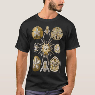 Ernst Haeckel - Scientific Illustration - T-Shirt