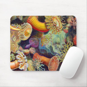Ernst Haeckel Sea Anemones Marine:Actiniae Mouse Pad