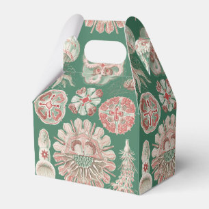 Ernst Haeckel Sea Life Pink Jellyfish Green Poster Favour Box