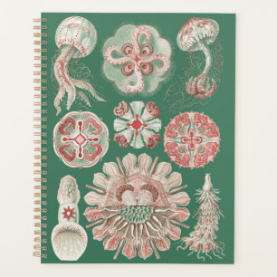 Ernst Haeckel Sea Life Pink Jellyfish Green Poster Planner