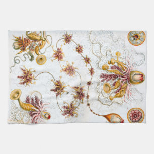 Ernst Haeckel Siphonophorae Jellyfish Tea Towel