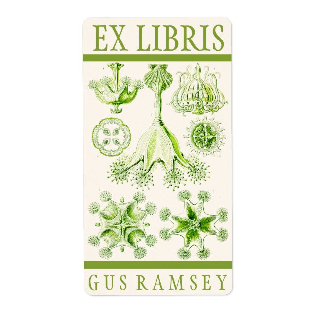 Ernst Haeckel Stauromedusae Bookplate (Front)