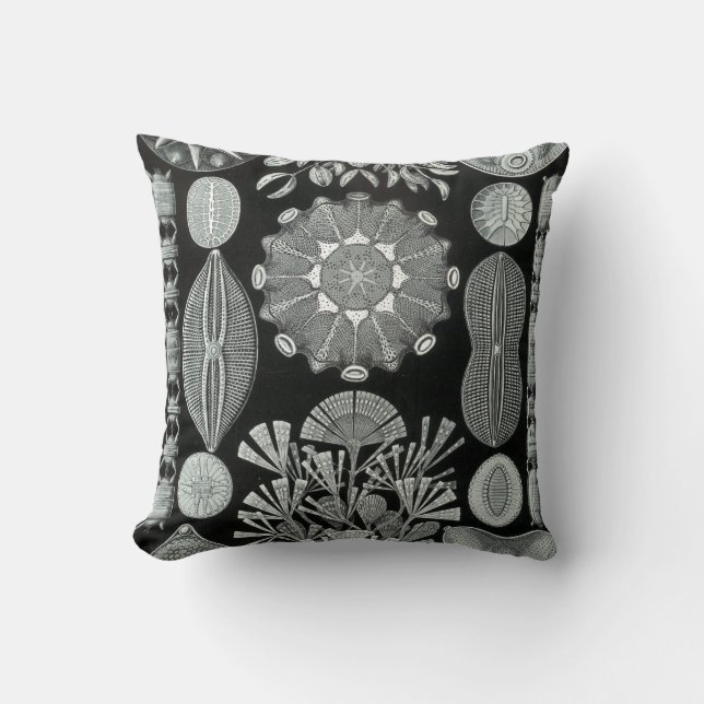 Ernst Haeckel throw pillow (Front)