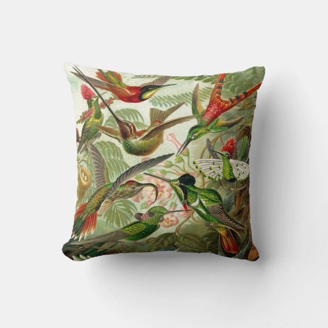 Ernst Haeckel Trochilidae Hummingbird Cushion (Front)