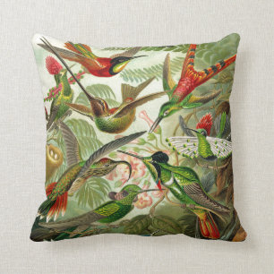 Ernst Haeckel Trochilidae Hummingbird Cushion