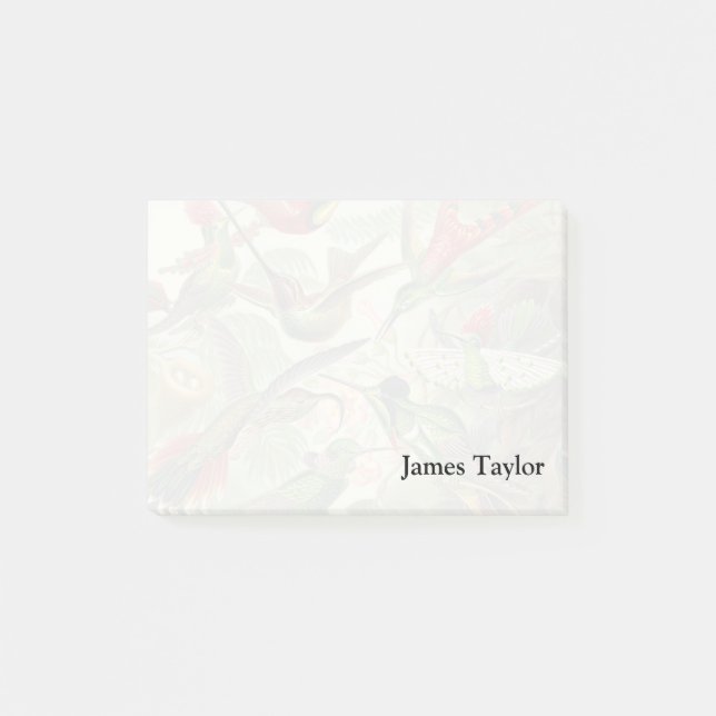 Ernst Haeckel Trochilidae Hummingbird Post-it Notes (Front)