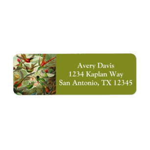 Ernst Haeckel Trochilidae Hummingbird Return Address Label