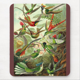 Ernst Haeckel - Trochilidae Hummingbirds Mouse Pad
