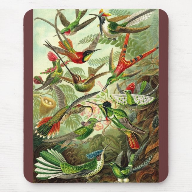 Ernst Haeckel - Trochilidae Hummingbirds Mouse Pad (Front)