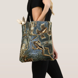 Ernst Haeckel variety of exotic frogs:Batrachia Tote Bag