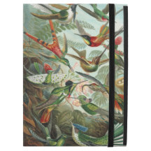 Ernst Haeckel vibrant hummingbirds Monogram
