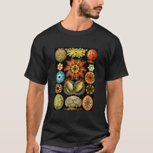 Ernst Haeckel Vintage Biological Illustration Asci T-Shirt