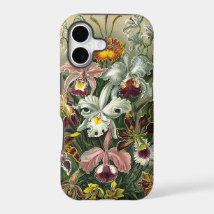 Ernst Haeckel Vintage Orchid Illustration