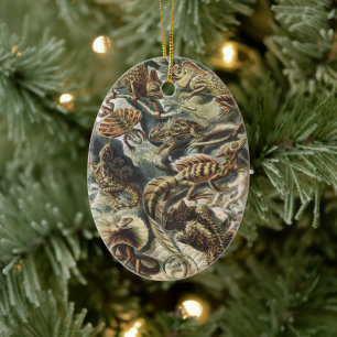 Ernst Haeckel Vintage Reptile Lizard Nature Art Ceramic Ornament