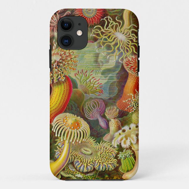 Ernst Haeckel's Actinae Ocean Life Case-Mate iPhone Case (Back)