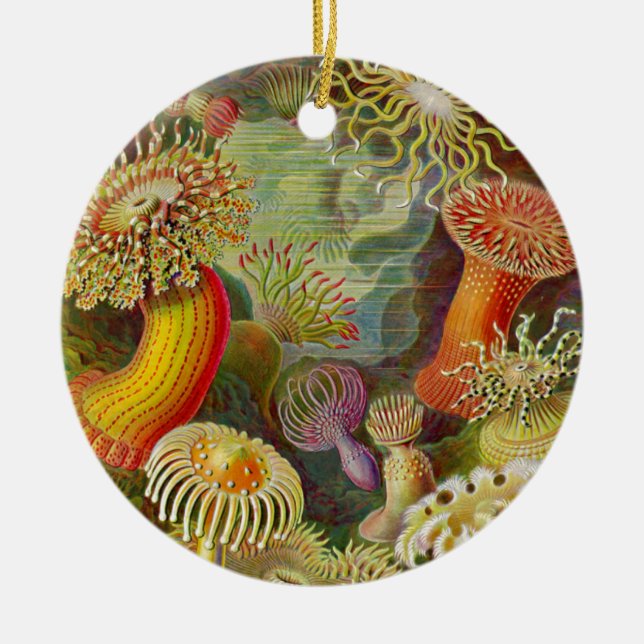 Ernst Haeckel's Actinae Ocean Life Ceramic Tree Decoration (Front)