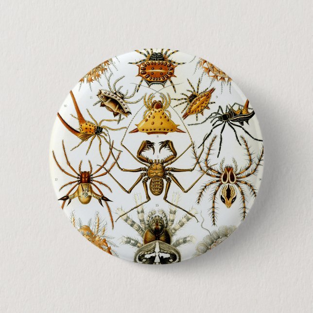Ernst Haeckel's Arachnida Spiders 6 Cm Round Badge (Front)