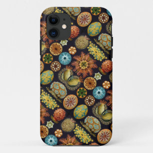Ernst Haeckel's Ascidiae Ocean Life iPhone 11 Case