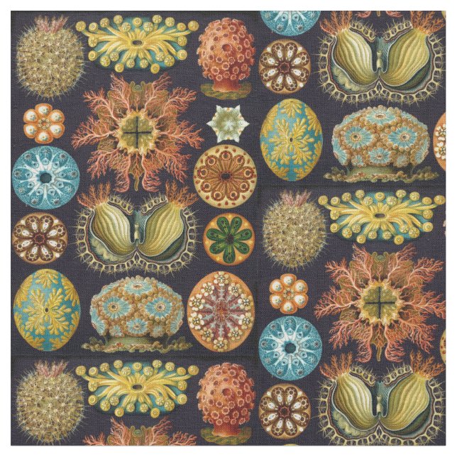 Ernst Haeckel's Ascidiae Ocean Life Fabric (Close Up)