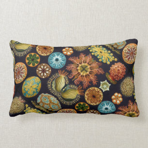 Ernst Haeckel's Ascidiae Ocean Life Lumbar Cushion