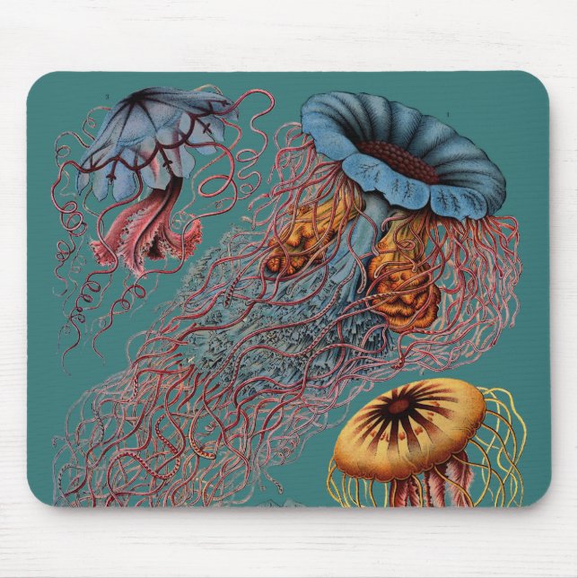 Ernst Haeckel's Disco Medusae Mouse Pad (Front)