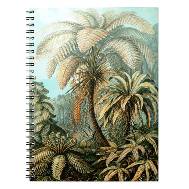 Ernst Haeckel's Filicinae (Tree Ferns) Notebook (Front)
