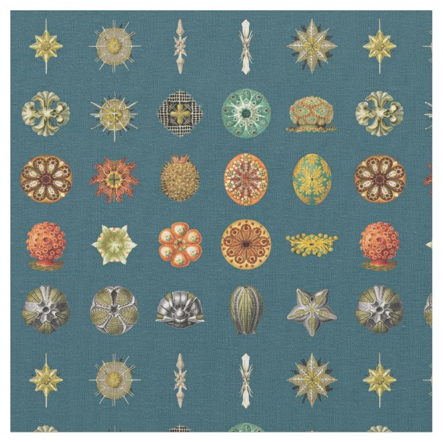 Ernst Haeckel's Ocean Jewels Fabric (Close Up)
