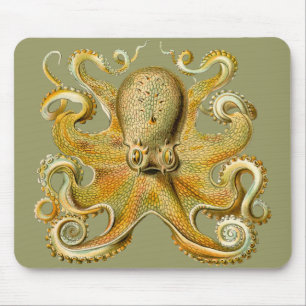 Ernst Haeckel's Octopus Mouse Pad