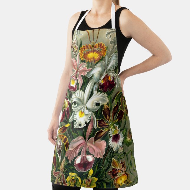 Ernst Haeckel's Orchidaceae Apron (Insitu)