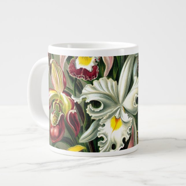 Ernst Haeckel's Orchidaceae Large Coffee Mug (Front Left)