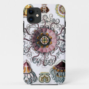Ernst Haeckel's Peromedusae iPhone 11 Case