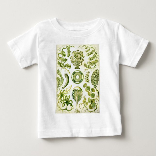 Ernst Haeckel's Siphoneae Seaweed and Algae Baby T-Shirt (Front)