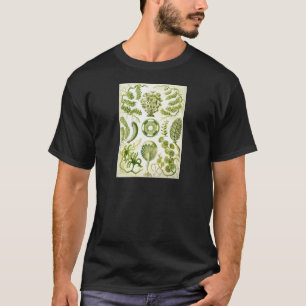 Ernst Haeckel's Siphoneae Seaweed and Algae T-Shirt