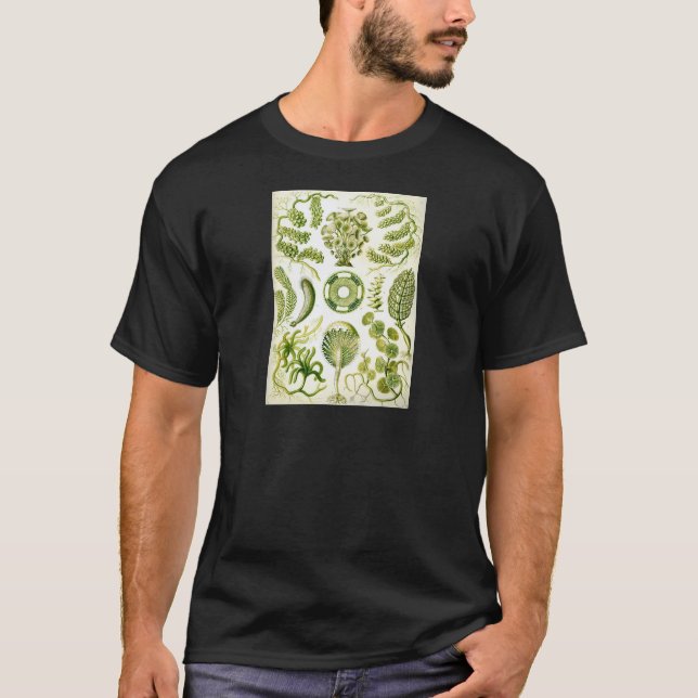 Ernst Haeckel's Siphoneae Seaweed and Algae T-Shirt (Front)