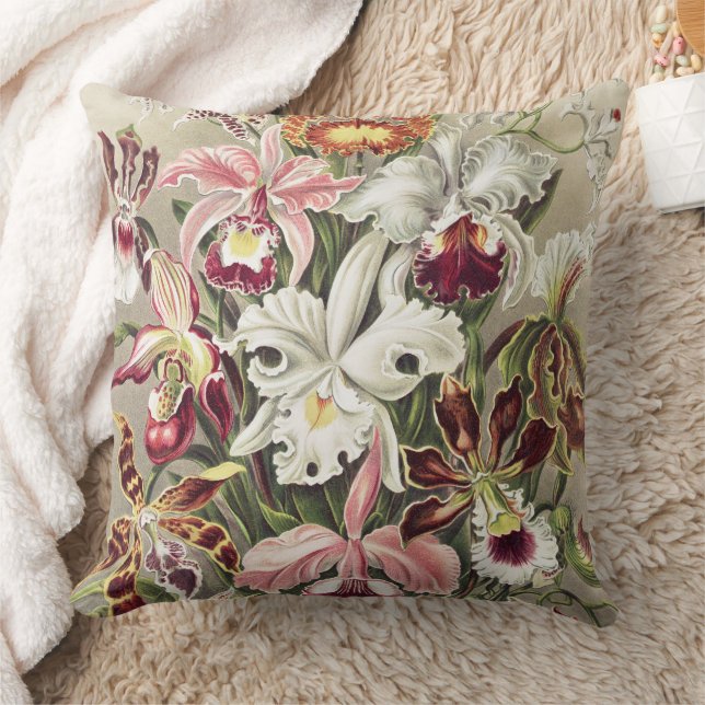 ErnstHaeckel Vintage Botanical Orchid Illustration Cushion (Blanket)
