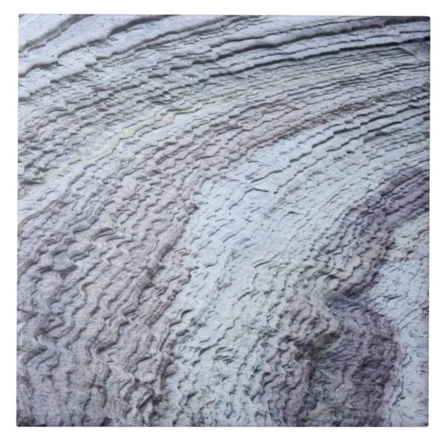 Erosion ,Zion National Park ,Utah 2 Tile (Front)