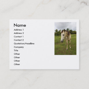 Errand, Business Card