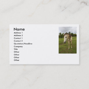 Errand Business Card