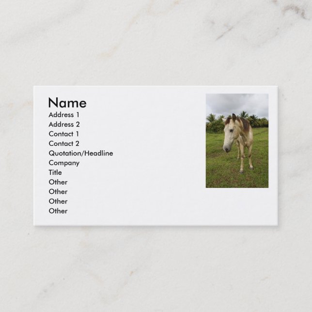 Errand Business Card (Front)