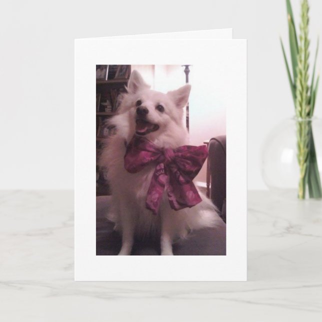 ERU Holiday Card (Front)