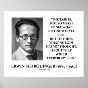 Erwin Schrödinger Task Think Nobody Yet Thought Poster