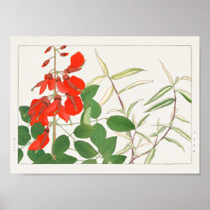 Erythrina, Panicum by Tanigami Konan Poster