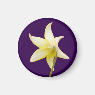 Erythronium Magnet