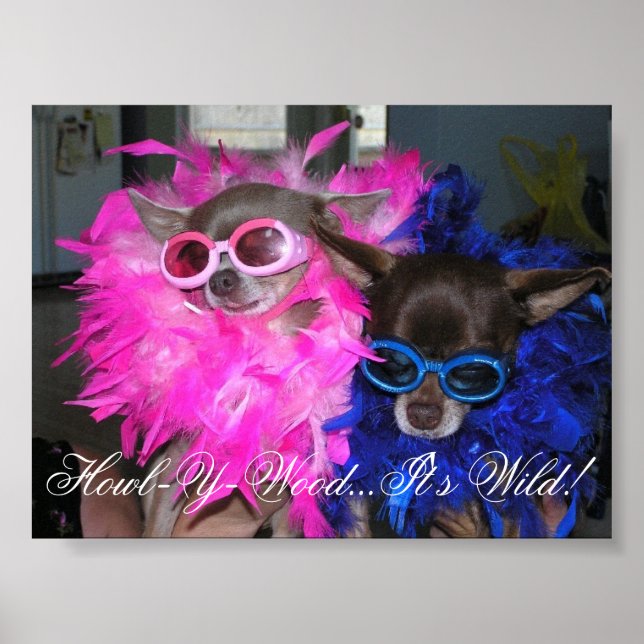 Esa and Lola Go Hollywood Poster (Front)