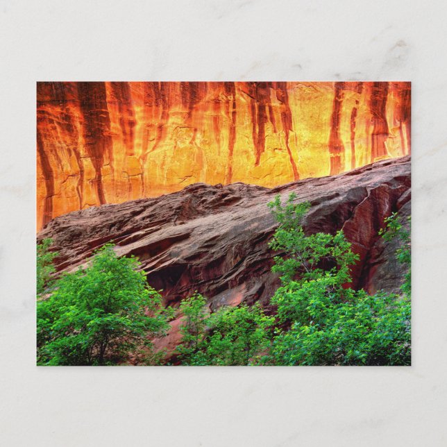 Escalante Neon Canyon and Foliage | Utah Postcard (Front)