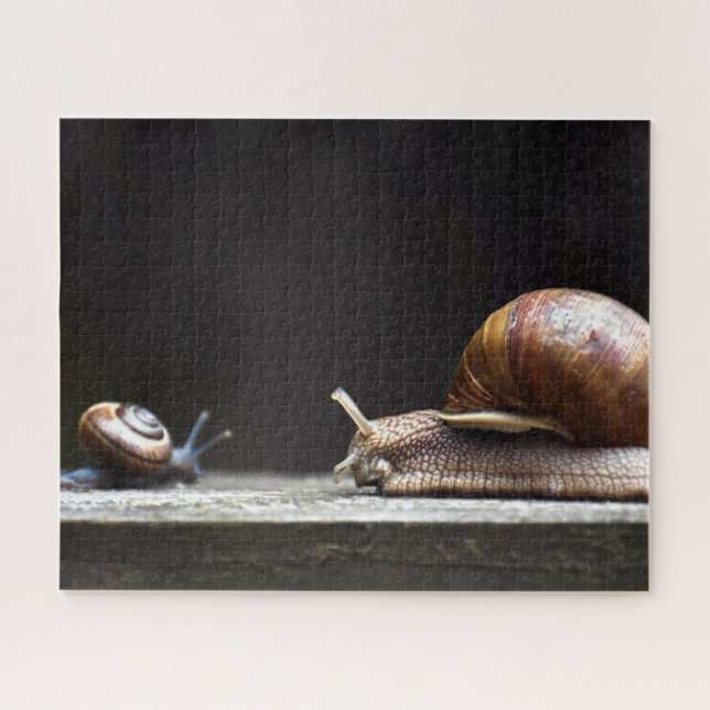 Escargots - Snail Mollusk Jigsaw Puzzle (Horizontal)