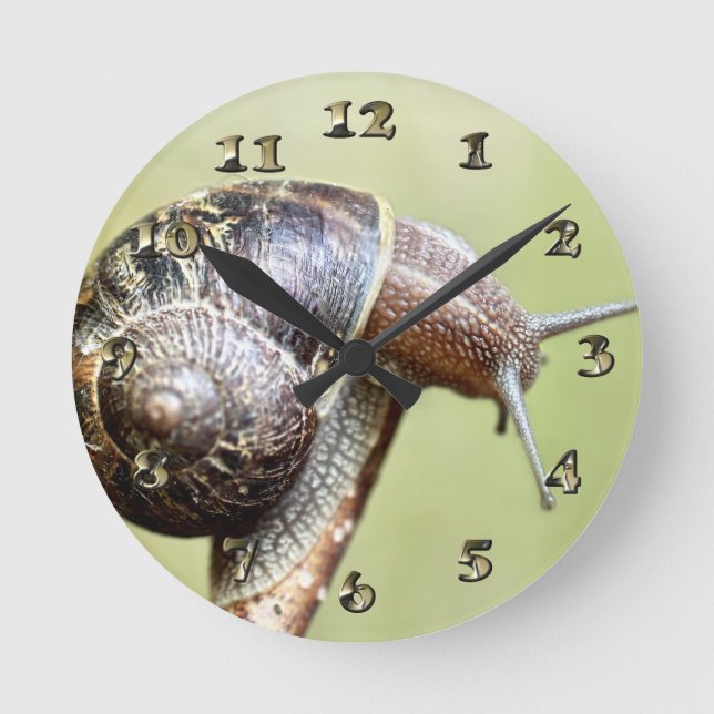 Escargots - The Rich Delight Round Clock (Front)