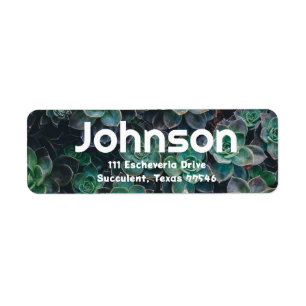 Esceveria Succulent Themed Address Labels